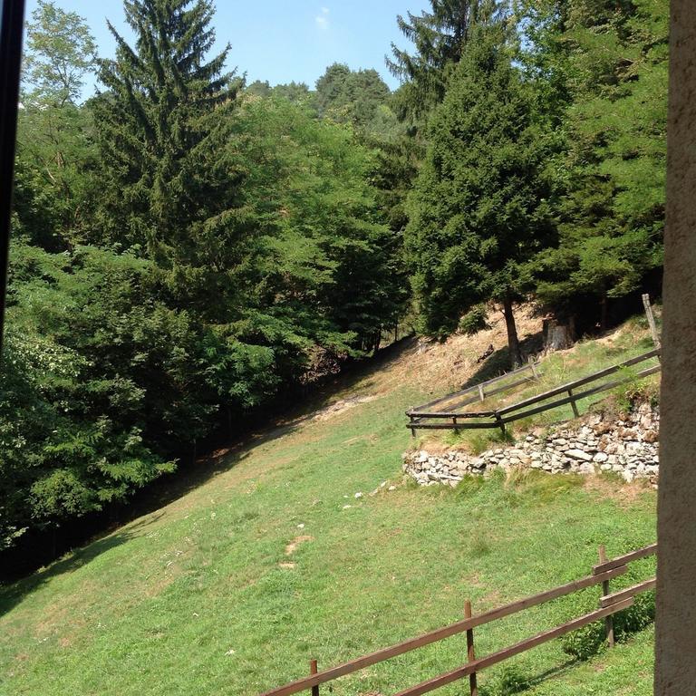 Agriturismo Barcola Grandola ed Uniti Номер фото