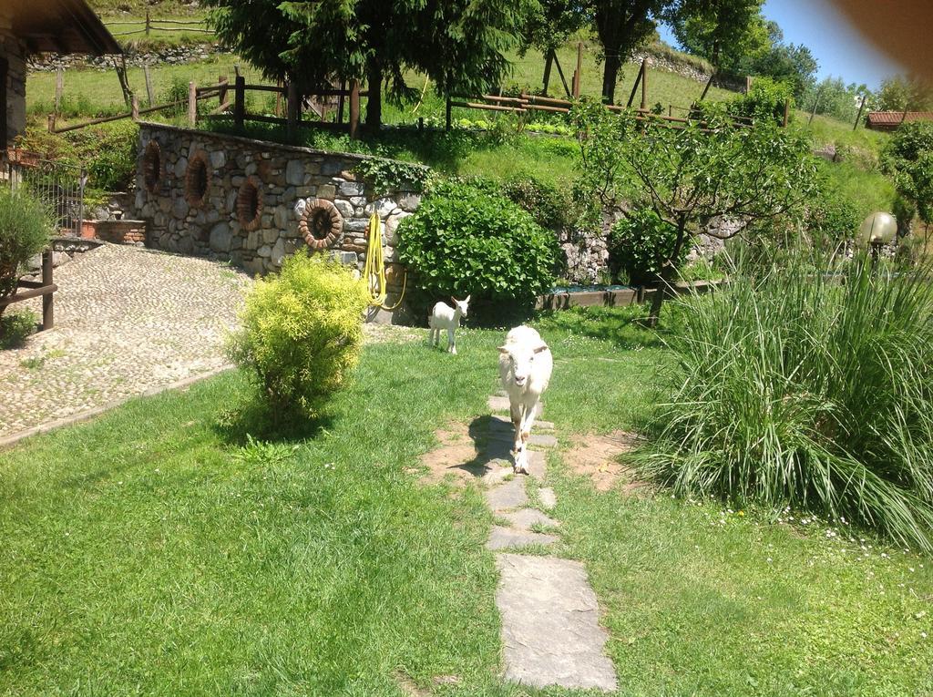 Agriturismo Barcola Grandola ed Uniti Екстер'єр фото