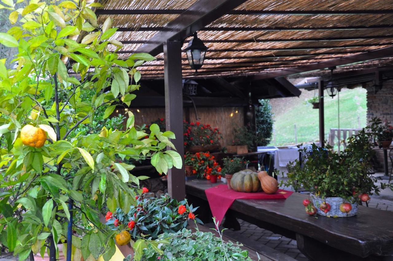 Agriturismo Barcola Grandola ed Uniti Екстер'єр фото